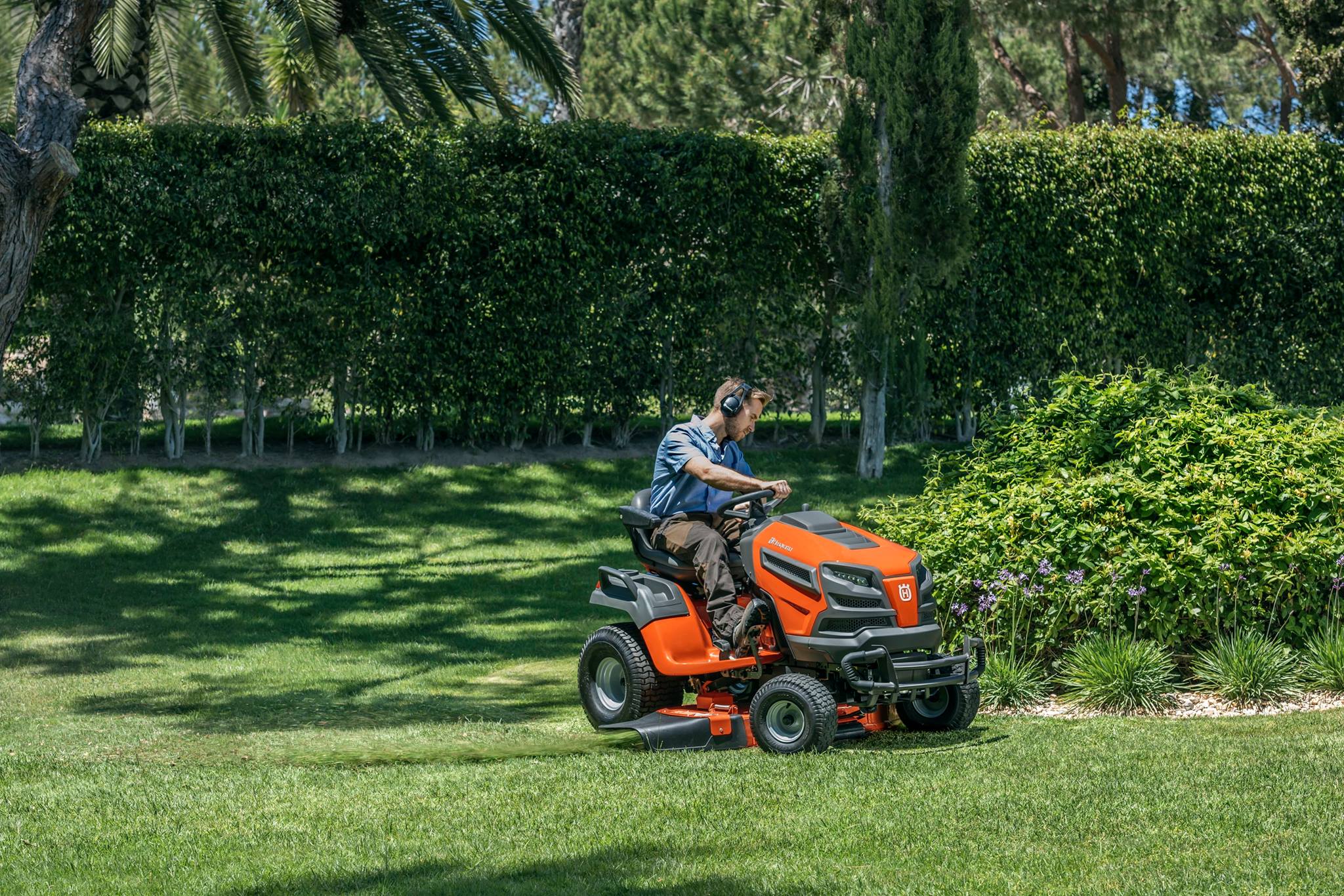 Man using a Husqvarna riding mower to cut the grass around a large rhododendron