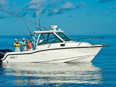 Three people holding a large fish at the back of a Boston Whaler 285 Conquest® boat.